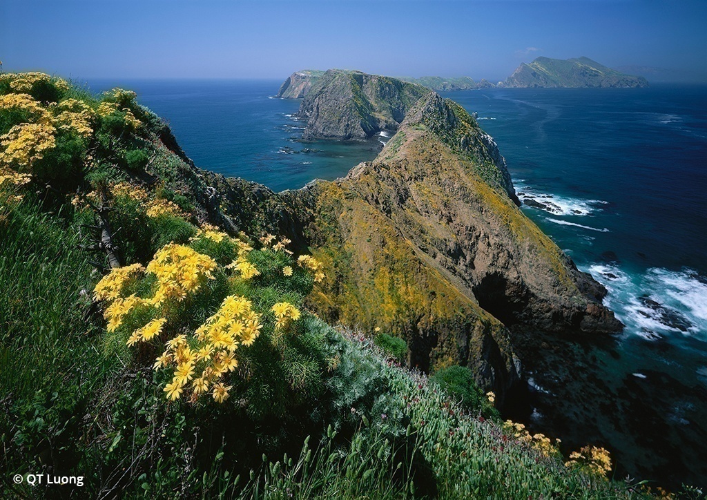 Image of Channel Islands National Park