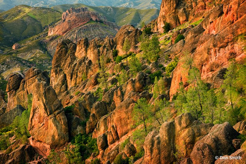 View of volcanic rock formations at Pinnacles National Park
